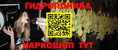 эйфоретик Коммунар