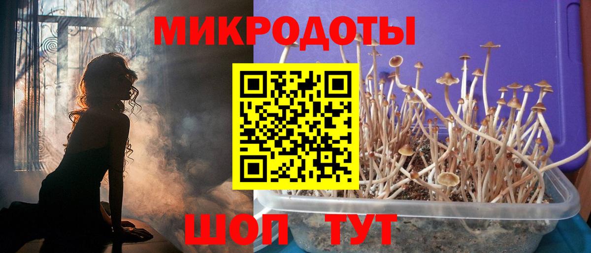 Псилоцибиновые грибы GOLDEN TEACHER  Вход с VPN  Нальчик  Галлюциногенные грибы ЛСД 