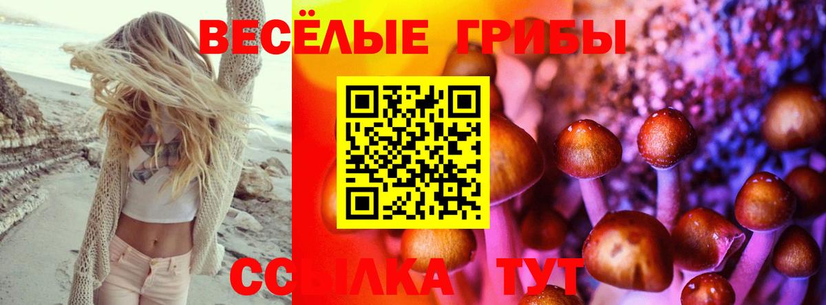 Псилоцибиновые грибы мицелий Нальчик